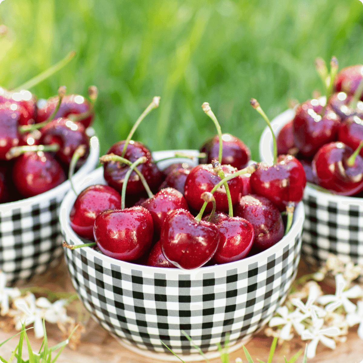 Blooms Sweet Cherries - Bing Cherries 1