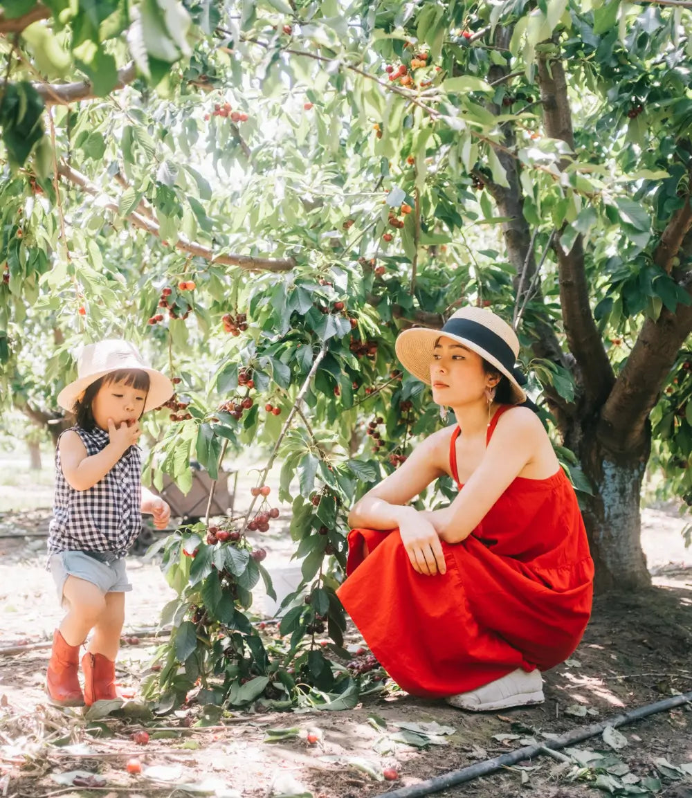 Very Important Cherry Picker Season Pass