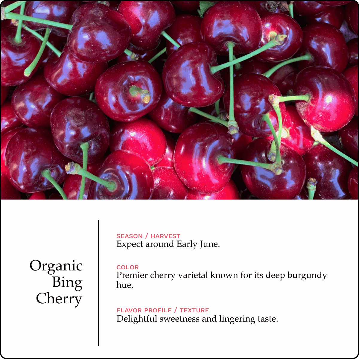 Blooms Sweet Cherries - Organic Bing Cherries 2