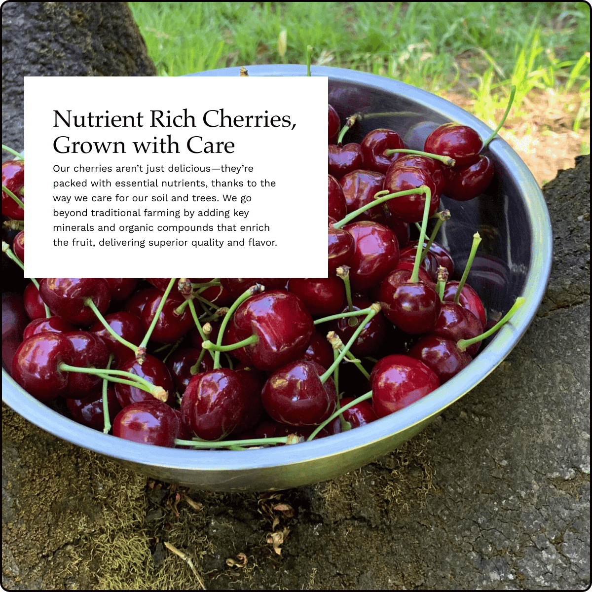 Blooms Sweet Cherries - Organic Bing Cherries 5