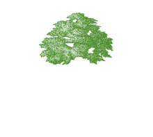 Chinchiolo Farming Co. Inc. logo