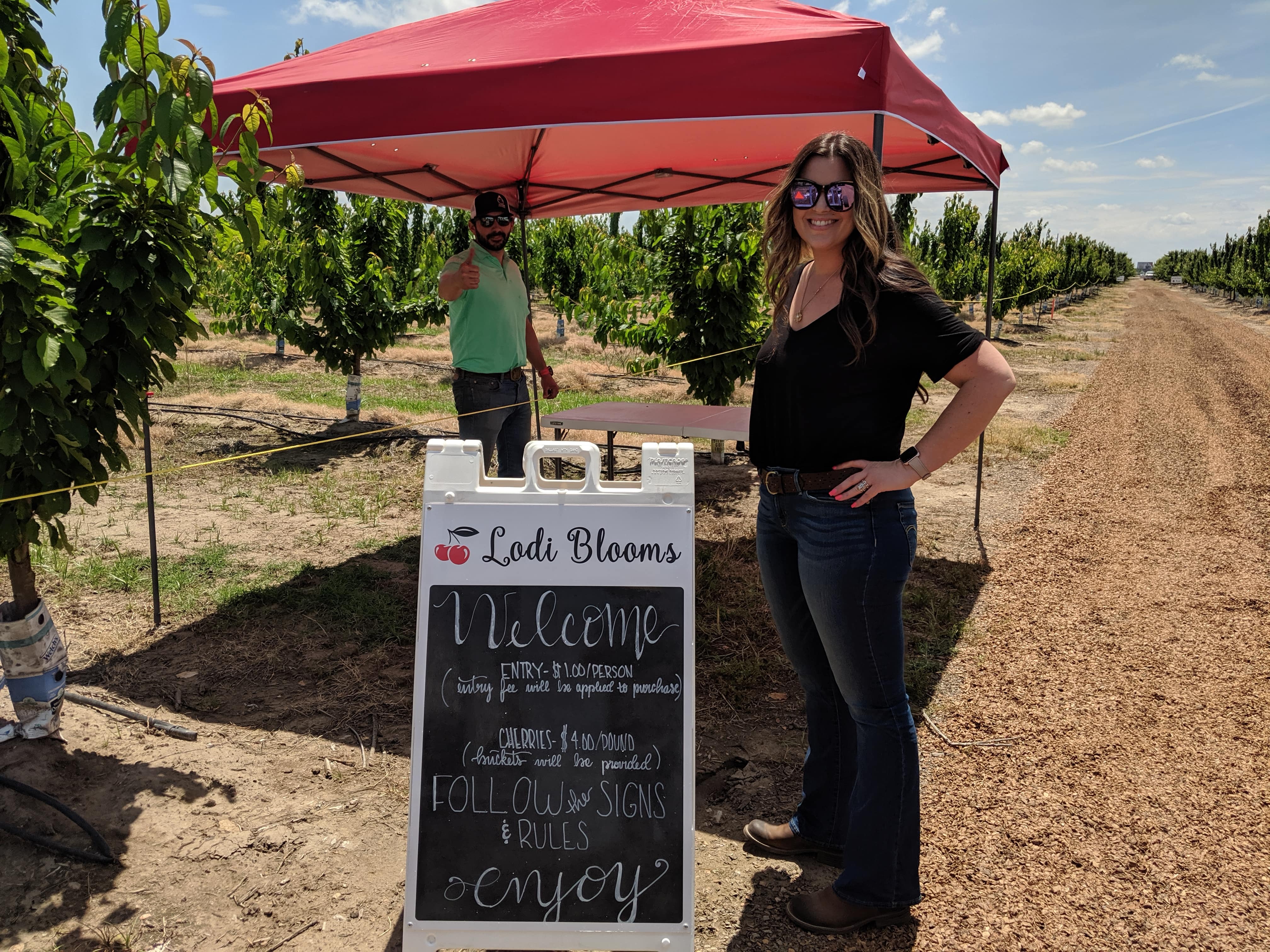 The 2020 U-Pick Cherry Season Has Officially Started!