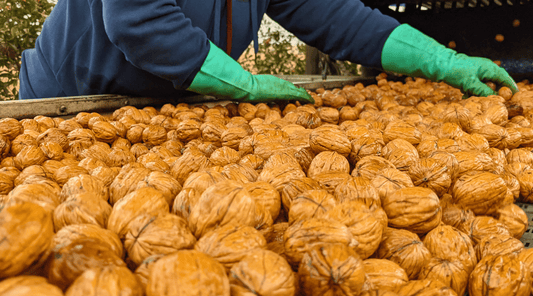 Raw Walnuts - What are they?