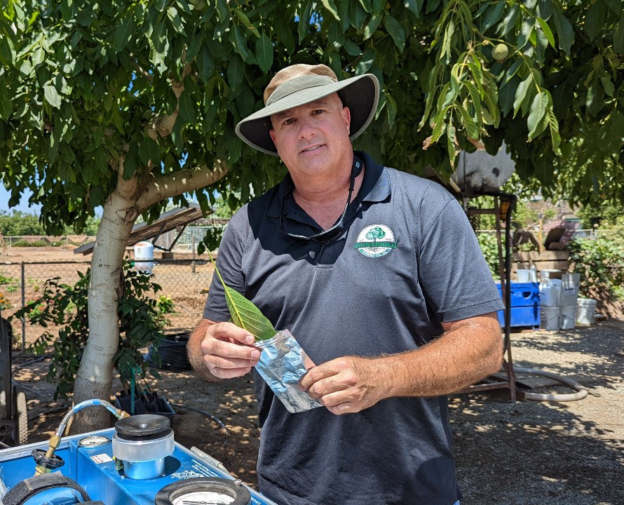 Water Management - July 2022 Orchard Report #6