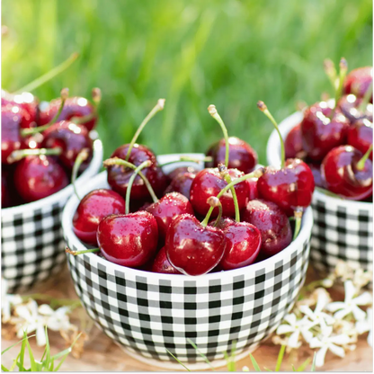 Lodi Blooms Cherries - Chinchiolo - BING Cherry [5]