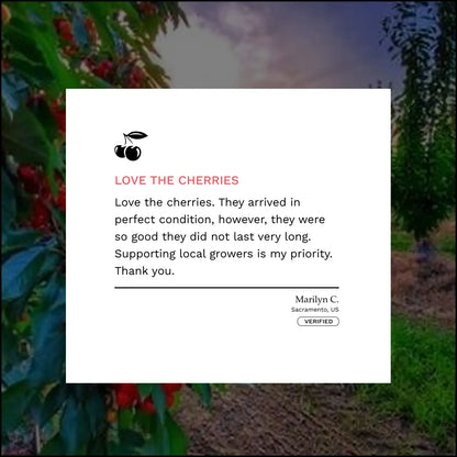 Lodi Blooms Cherries - Chinchiolo - BING Cherry [1]