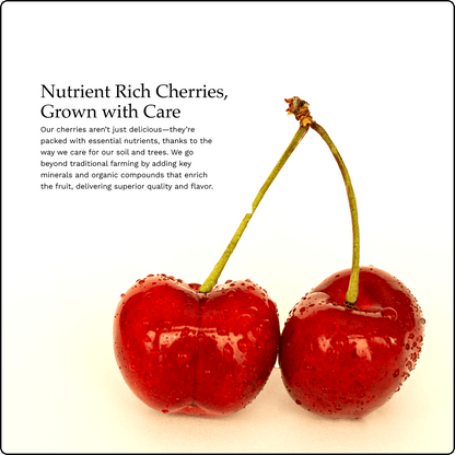 Blooms Sweet Cherries - Bing Cherries 6