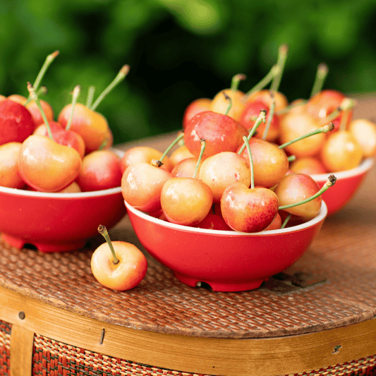 Blooms Fresh Cherries - Chinchiolo Farming - Rainiers