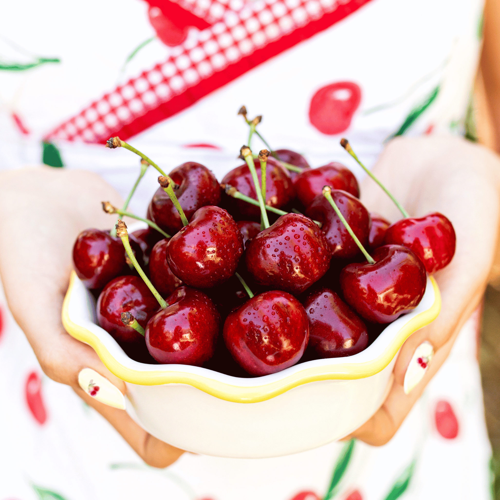 Blooms Sweet Cherries - Chinchiolo Farming