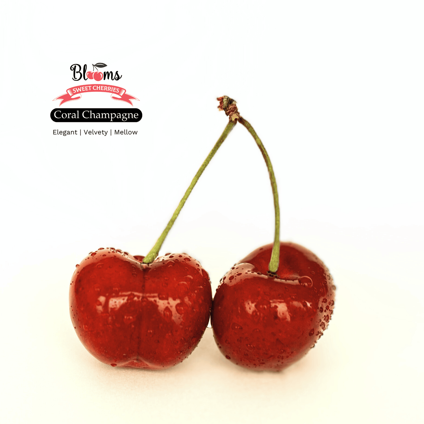 Blooms Sweet Cherries - Coral Champagne Cherries 5