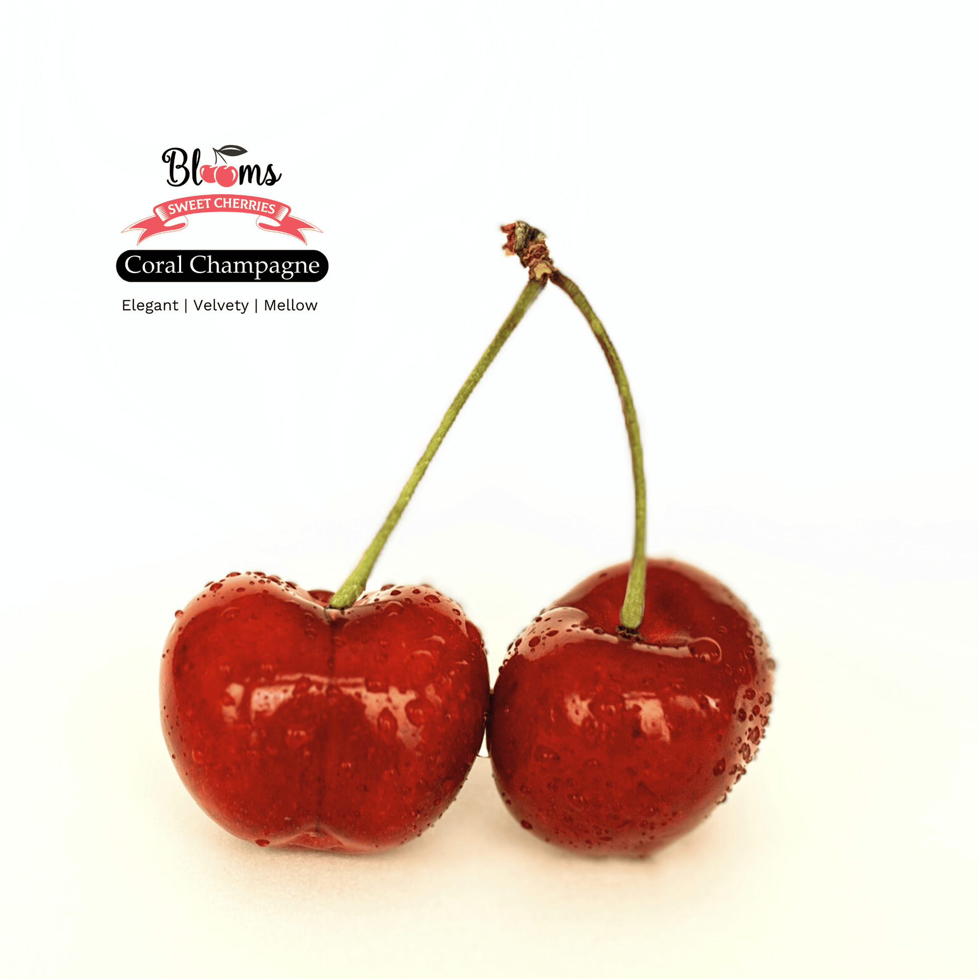 Blooms Sweet Cherries - Coral Champagne Cherries 5