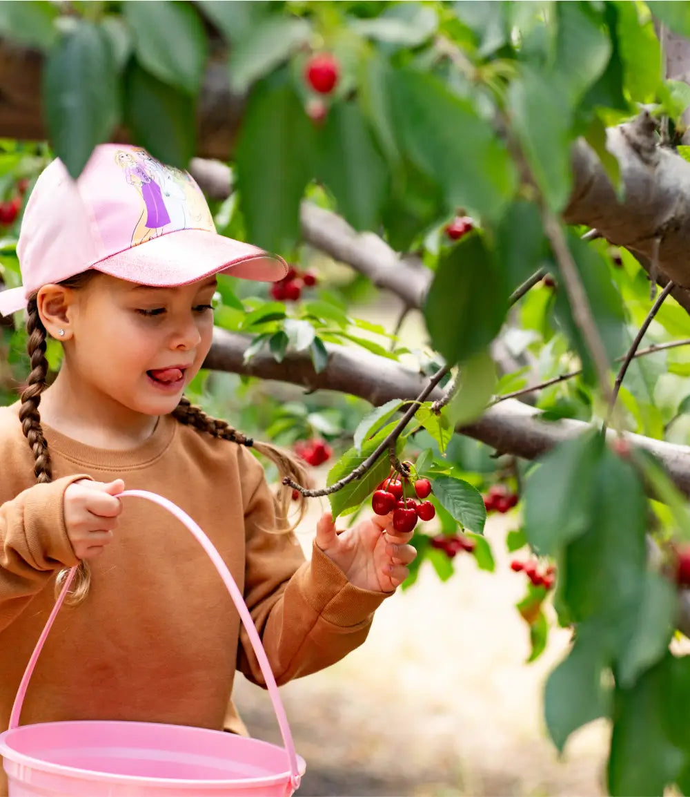 Farmo Chingch Very Important Cherry Picker Season Pass – Chinchiolo Farming Co. Inc.