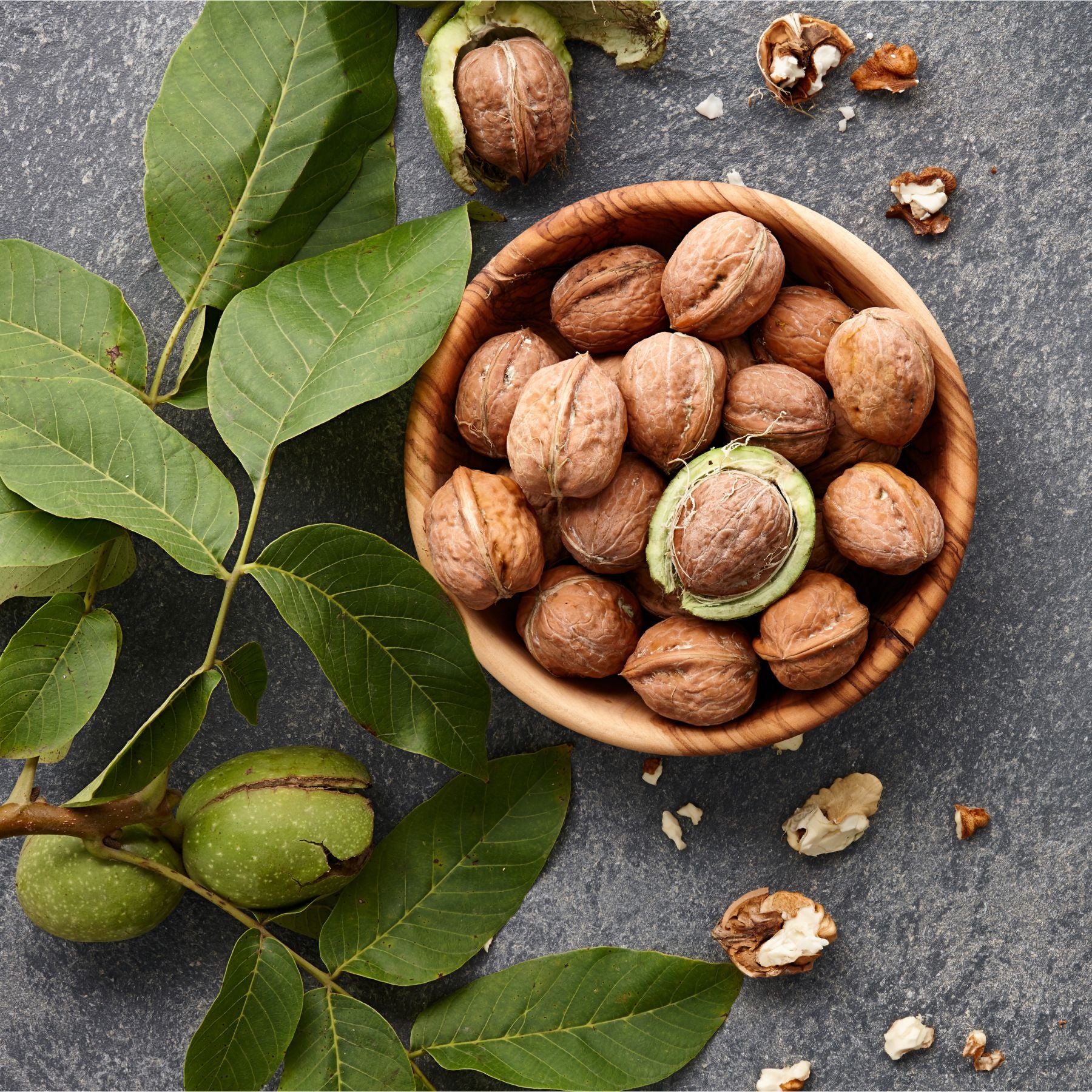 Premium Inshell California Walnuts