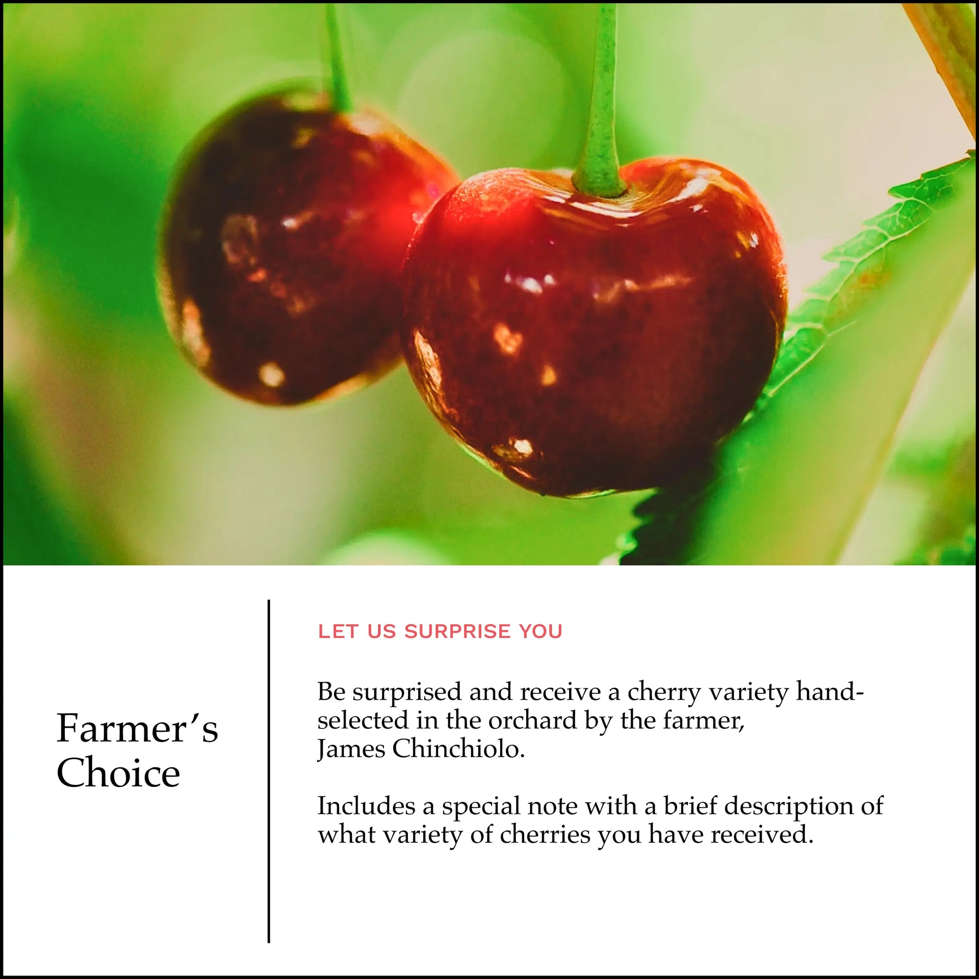 Lodi Blooms Cherries - Chinchiolo - FARMERS CHOICE Cherry [4]