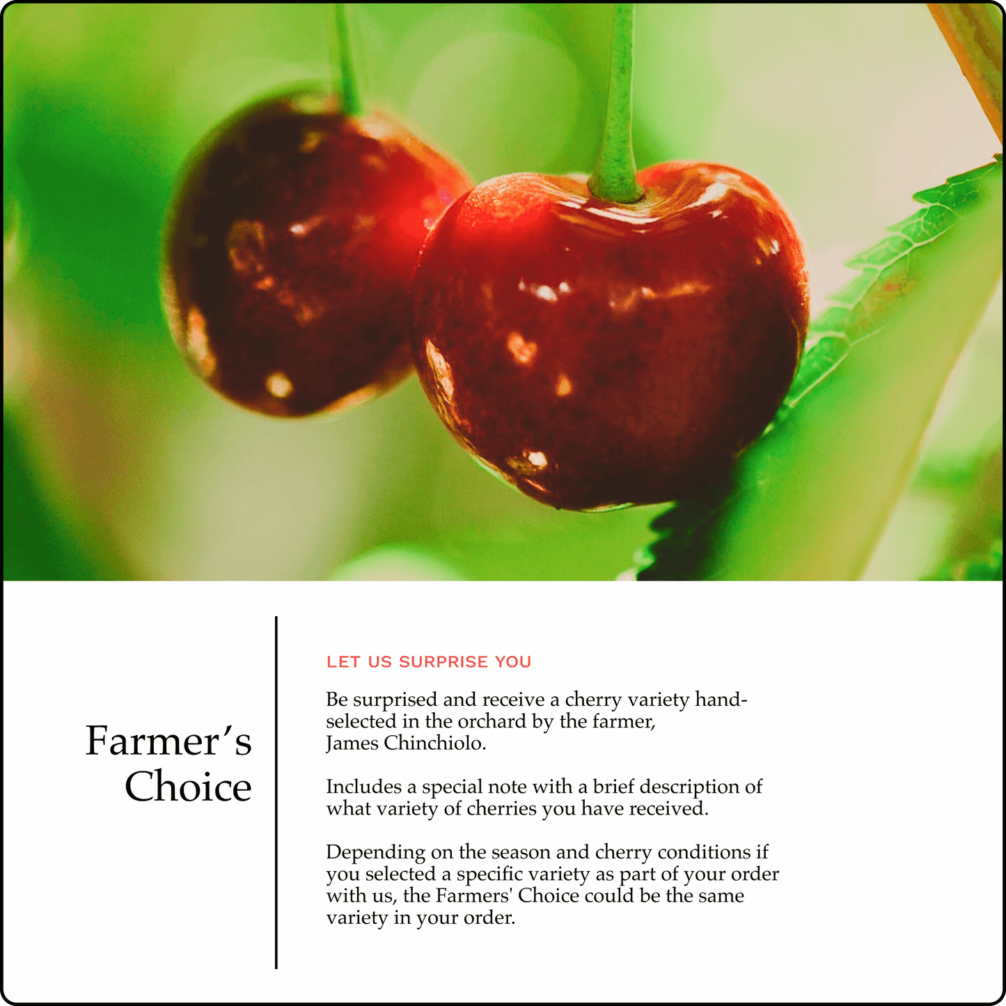 Blooms Sweet Cherries - Farmers Choice Cherries 2