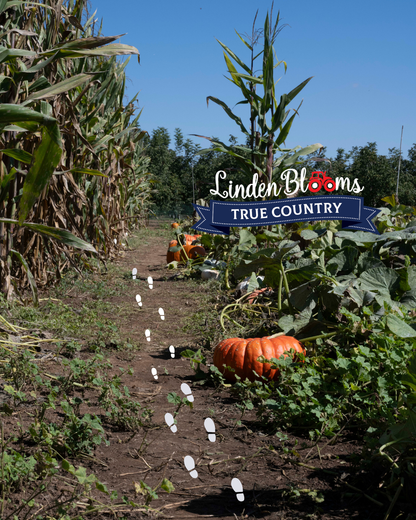 Linden Blooms- True Country