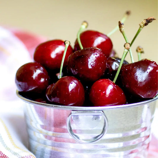 Lodi Blooms Cherries - Chinchiolo - LAPIN Cherry [4]