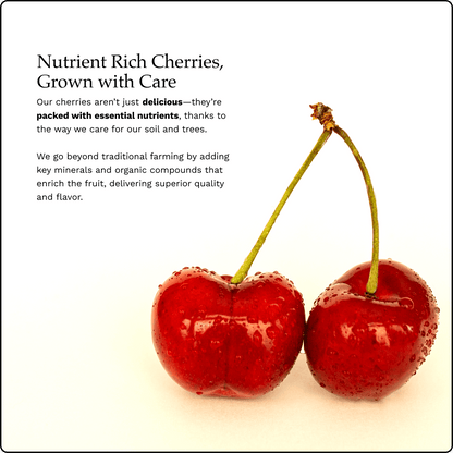 Blooms Sweet Cherries - Lapin Cherries 6