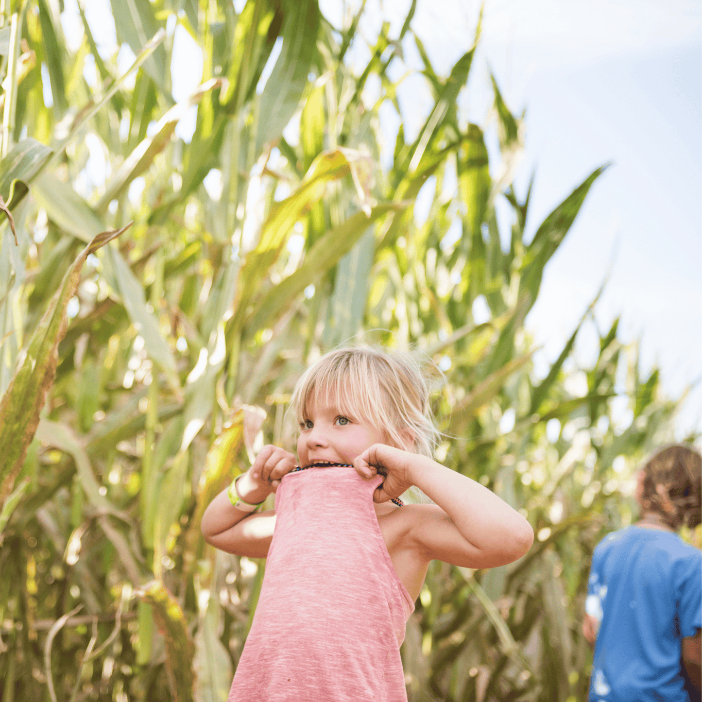 Blooms Love Corn Maze