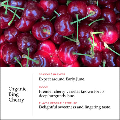 Lodi Blooms Cherries - Chinchiolo - ORGANIC BING Cherry [5]