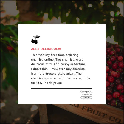 Lodi Blooms Cherries - Chinchiolo - ORGANIC BING Cherry [2]