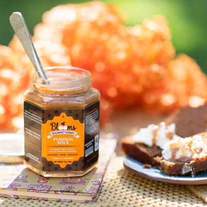 Fall Honey Bundle