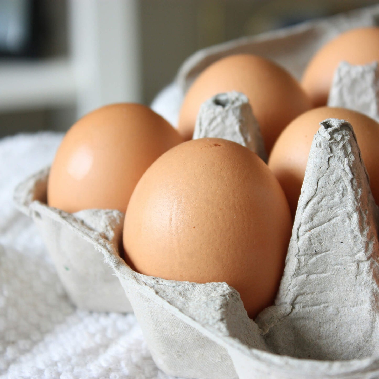 Orchard Laid Eggs