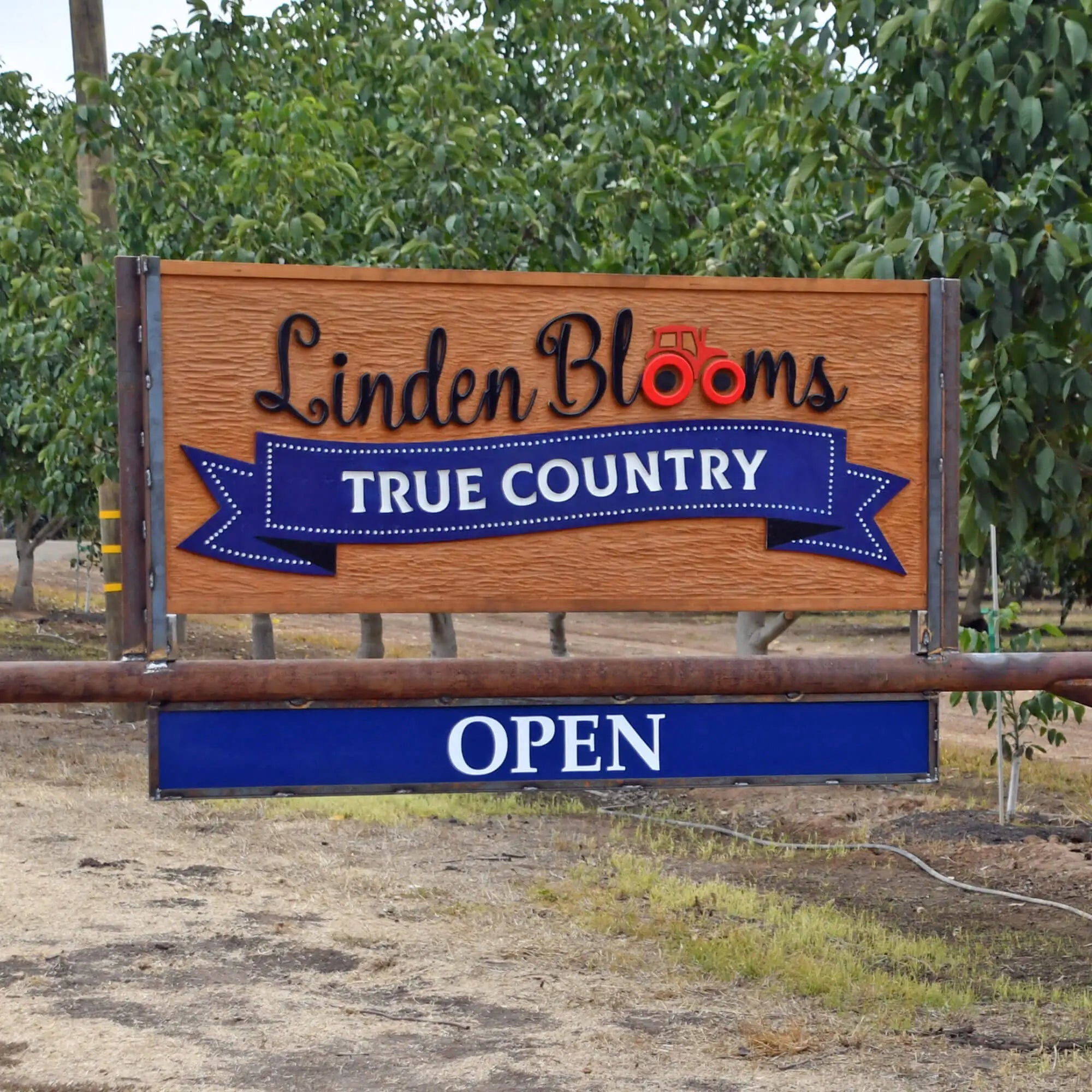 Linden Blooms - Fall Family Events - 11