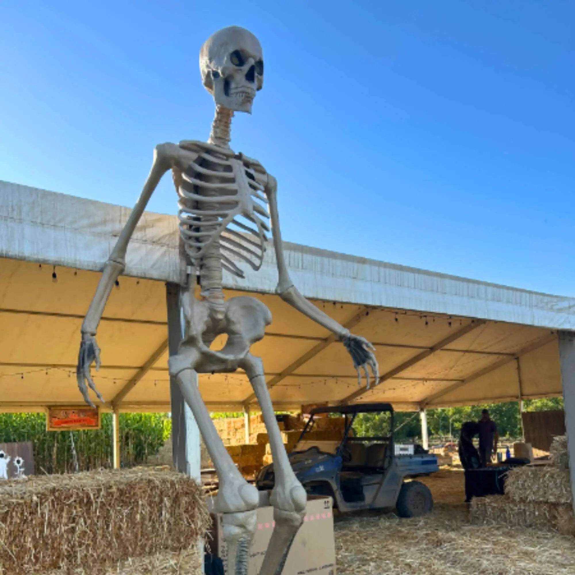 Linden Blooms - Fall Family Events - 15