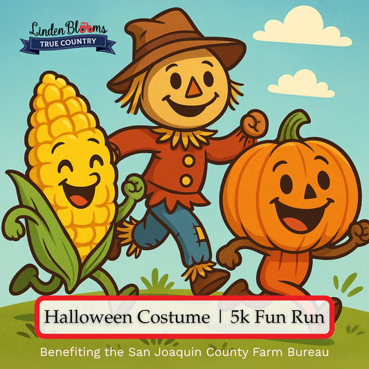 Costume 5K Fun Run / Walk