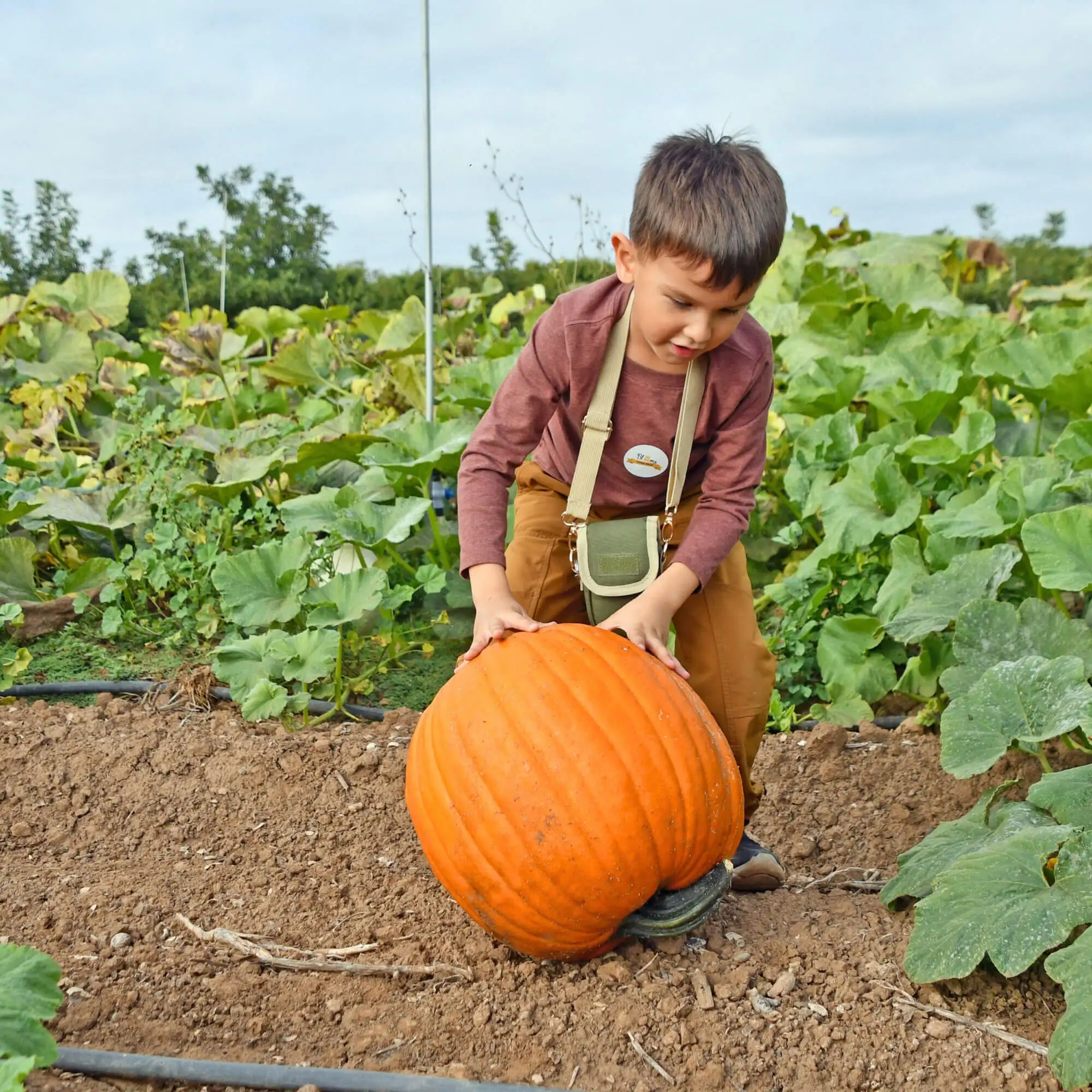 Linden Blooms - Fall Family Events - 6