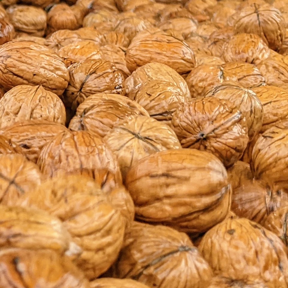 Premium Inshell California Walnuts