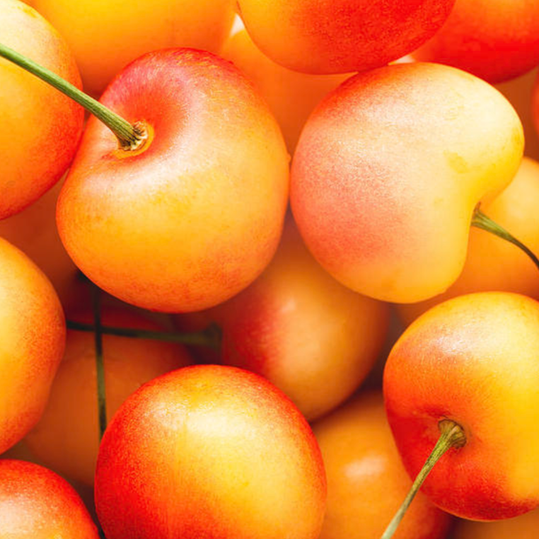 Rainier Cherries